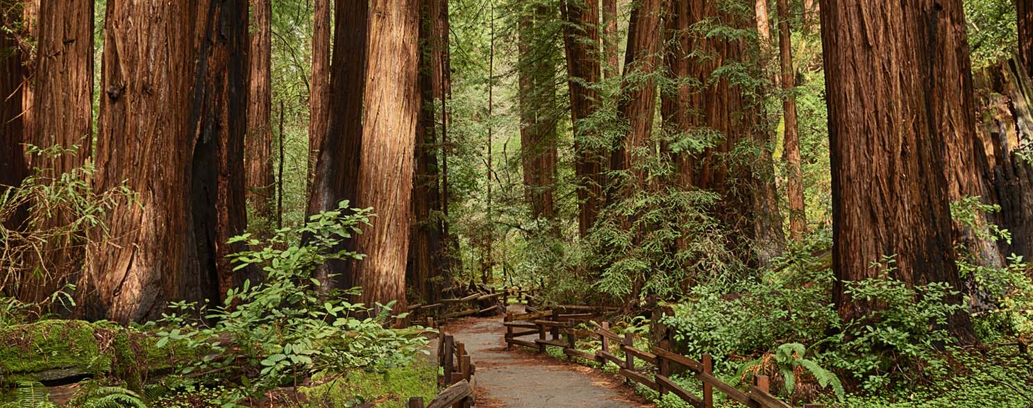 California Destinations & Tours